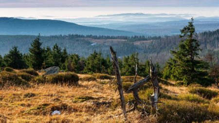 Uitzicht vanaf de Brocken in het Harzgebergte © Shutterstock dugdax