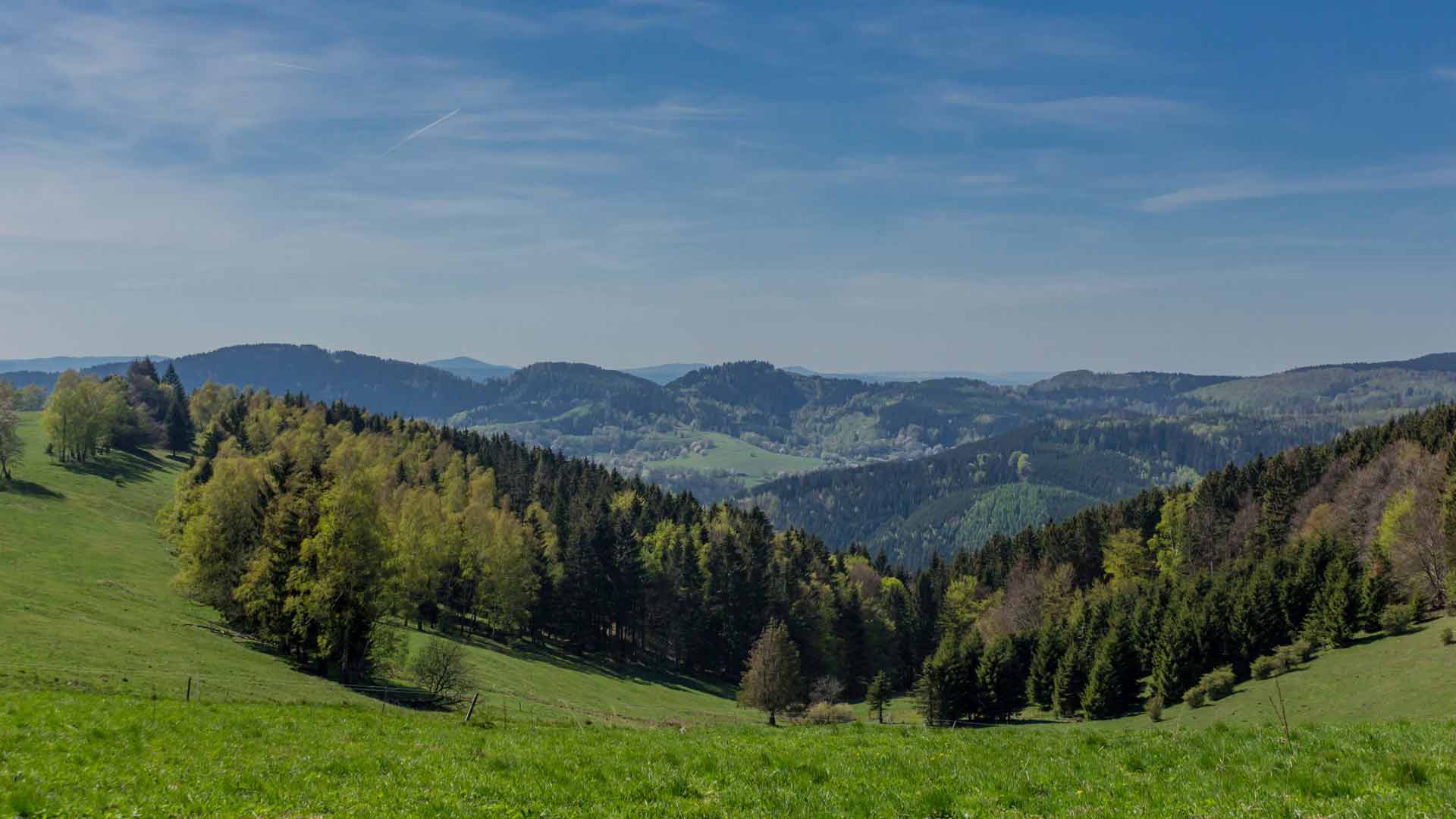 Panorama uitzicht vanaf de Rennsteig in het Thüringer Wald © Shutterstock Oliver Hlavaty Photo
