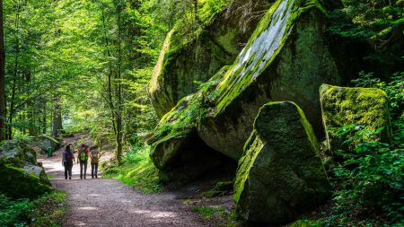 Met mos begroeide rotsformaties langs de Westweg © Shutterstock Sergii Zinko