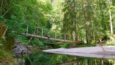 Pauze op een houten brug op de Schluchtensteig in het Zwarte Woud © Shutterstock marako85