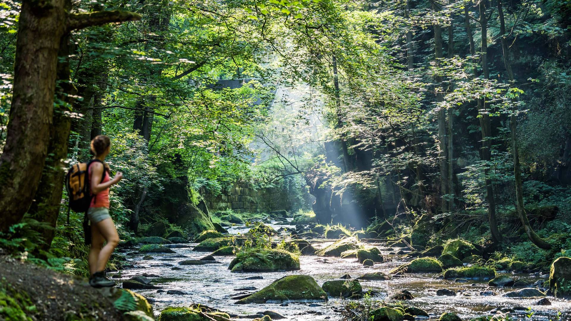 Op etappe 1 voelt het soms alsof je in de jungle loopt.