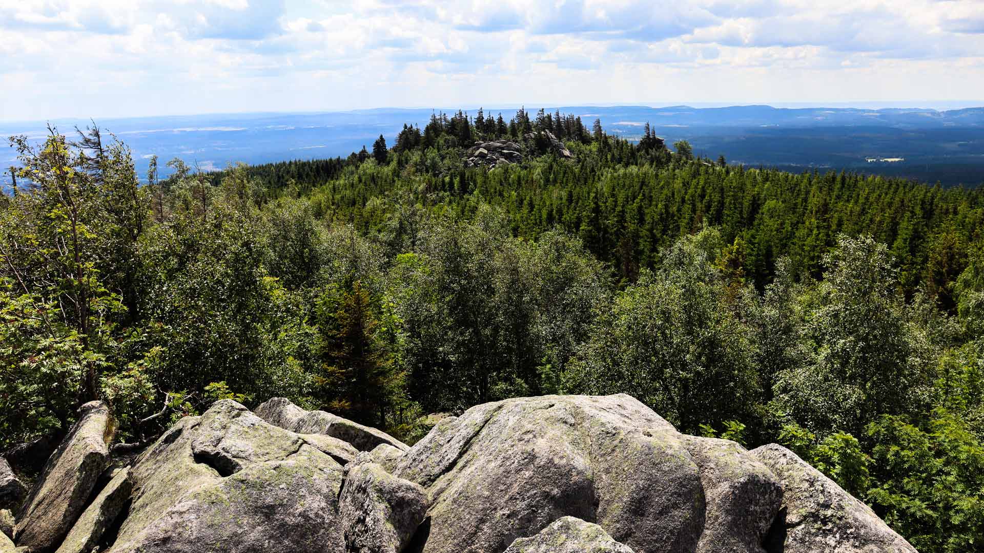 Uitzicht vanaf de rotsformatie Drei Annen Hohne in de Harz.